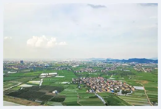 自建房常识 | 买公寓后悔了，这六个弊端早知道避免被坑！ | 自建房常识