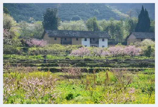 自建房指南 | 建筑施工时混凝土标号有几种？ | 自建房指南