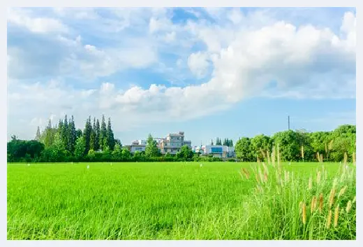 自建房科普 | 房子风水不好的十大预兆！出现这些情况一定要小心！ | 自建房科普