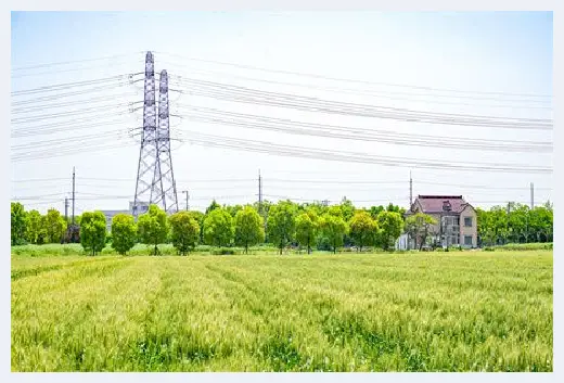 自建房百科 | 樱花树种植在庭院风水好吗？庭院种樱花树风水上要注意什么？ | 自建房百科