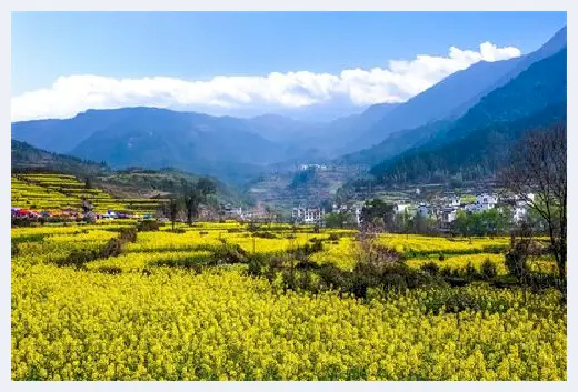 农村自建房 | 坐西朝东的房子风水注意这几点，可以让运势越来越好 | 农村自建房