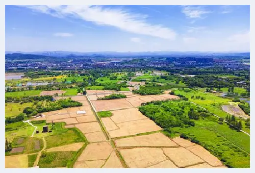 城市自建房 | 五行属木的电器有哪些？得道者行大运 | 城市自建房