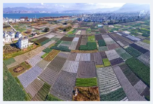 自建房 | 将自己的房子借给别人娶亲到底是福还是祸？ | 自建房