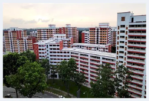 自建房常识 | ​风水学中，哪些绿植养在家中能带来好的寓意 | 自建房常识