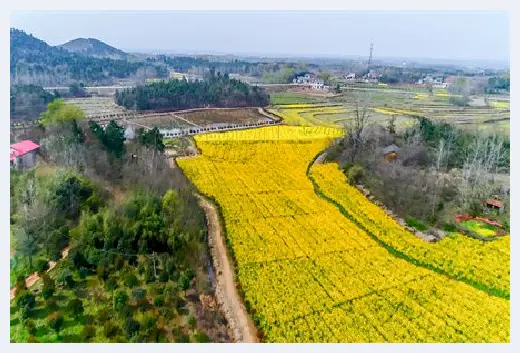 自建房常识 | 农村院子西墙适合什么画？农村院子西墙作画要注意这几点 | 自建房常识