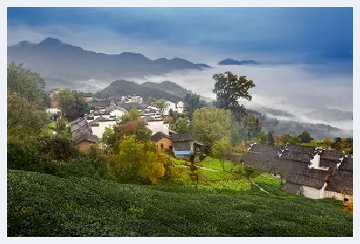 自建房指南 | 挡煞辟邪的植物有哪些？什么植物对风水不好？ | 自建房指南