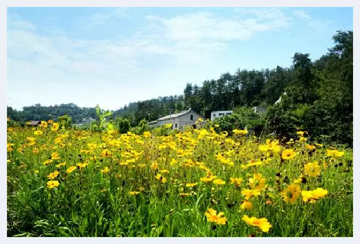 自建房百科 | 哥特式家具风格特点有哪些？哥特式家居设计要点有哪些？ | 自建房百科