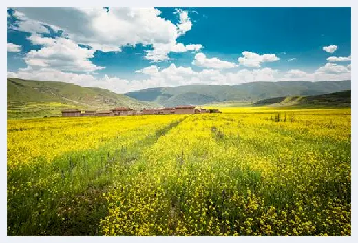 自建房指南 | 挡煞辟邪的植物有哪些？什么植物对风水不好？ | 自建房指南