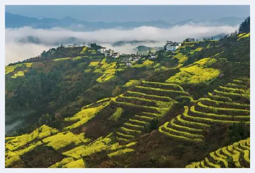 自建房知识 | 小产权房能转正了？广州小产权房一律不予确权登记！ | 自建房知识