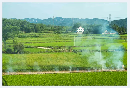 城市自建房 | 农村还在这样盖房的，很不健康！ | 城市自建房