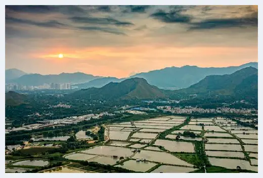 自建房教程 | 虎尾兰的风水禁忌，来个先睹为快吧 | 自建房教程