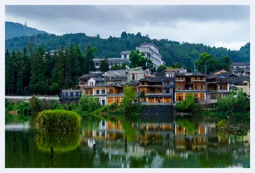 城市自建房 | ​万年青开白花寓意风水，送给长辈最合适了 | 城市自建房