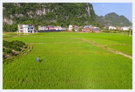 自建房指南 | 越住越富的风水户型图有哪些？快来看看自己家是不是！ | 自建房指南