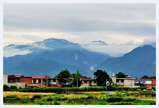 自建房 | 家里养茶花风水禁忌，看完心中有数 | 自建房