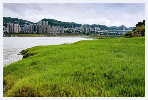 自建房 | 未来的住宅设计是什么样子？这有几位设计大师的奇思妙想 | 自建房