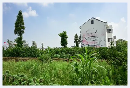 城市自建房 | 院子里种韭菜好吗？院子里还可以种哪些蔬菜？ | 城市自建房