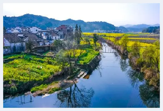 自建房资料 | 大门两边种什么树好？门前种树的风水禁忌要注意！ | 自建房资料