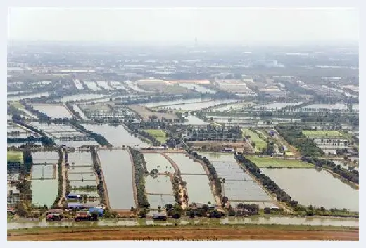 农村自建房 | 自建房室内砌墙用红砖好还是水泥砖好呢，区别在哪里？ | 农村自建房