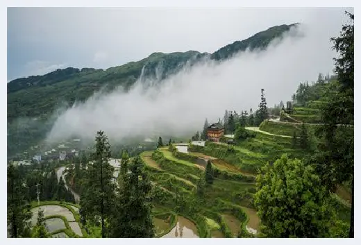 自建房常识 | 植物墙做法有哪些 | 自建房常识