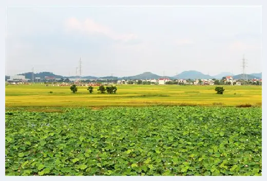 自建房学堂 | 建房怎么隐藏外墙水泥柱？这些建房设计风格值得考虑 | 自建房学堂