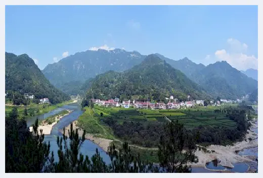 自建房指南 | 家中绿植不能高于人？电视柜两边太空摆什么绿植好？ | 自建房指南