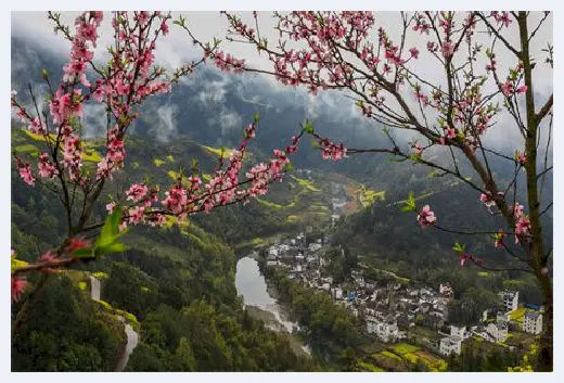 自建房常识 | 床头两边开窗好不好？床头一半靠窗一半靠墙怎么化解？ | 自建房常识