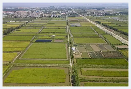 城市自建房 | 大芯板的厚度是多少 | 城市自建房