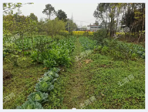 自建房资料 | 成都好地，等你来选！农场、农房、耕地、山庄、果园，任您选择！ | 自建房资料