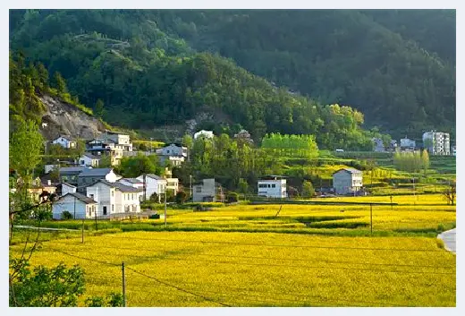 自建房百科 | 关于院子大门风水禁忌以及朝向详谈，赶紧学起来 | 自建房百科