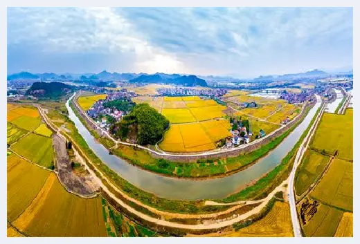 自建房知识 | 你知道哪些植物适合家养吗?适合家养的花卉植物 | 自建房知识