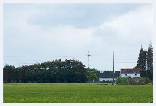 自建房指南 | 什么是廉租房？专业的解释你就能懂 | 自建房指南