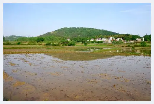 城市自建房 | ​七叶莲风水大忌是什么？七叶莲的风水作用介绍 | 城市自建房