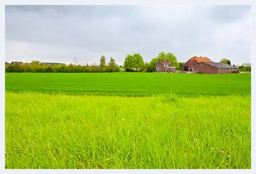 自建房 | ​轻钢别墅住进去就后悔了？住过的人都这么说！ | 自建房