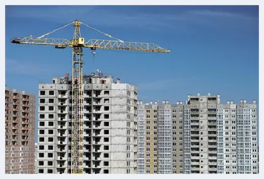 自建房学堂 | 适合客厅摆放的盆景有哪些？风水注意什么？ | 自建房学堂