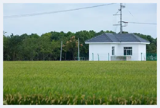 自建房教程 | 庭院种桂花树好不好？庭院种几棵桂花树好？ | 自建房教程