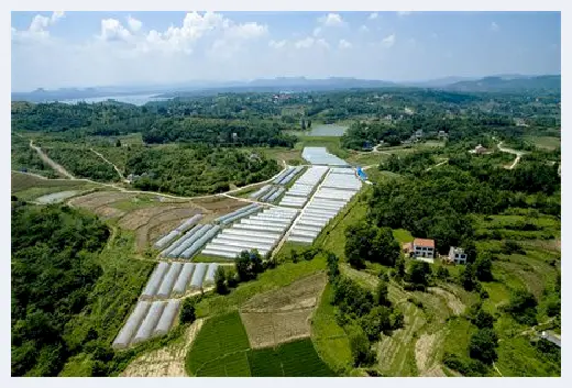 自建房百科 | 农村房子朝向风水，建房者莫错过 | 自建房百科