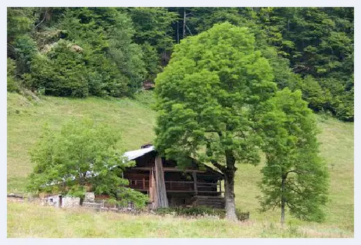 自建房学堂 | 农村建房未办建房证可以补办吗？农村自建房须知 | 自建房学堂