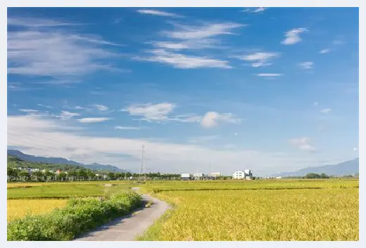 自建房 | 地基压实度检测方法，收藏起来以备不时之需 | 自建房