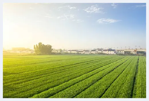 自建房知识 | 你知道哪些植物适合家养吗?适合家养的花卉植物 | 自建房知识