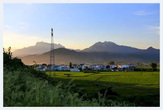 自建房学堂 | 门前种银杏树好吗？种银杏树有哪些风水禁忌需要注意？ | 自建房学堂