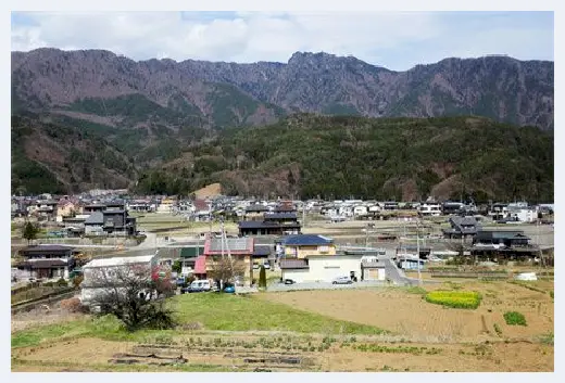 自建房学堂 | 竹子风水禁忌之摆放，随意随性万不可取 | 自建房学堂