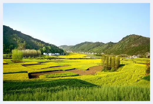 农村自建房 | 耐阴耐寒好养的庭院花卉有哪些？庭院种花卉要注意什么？ | 农村自建房