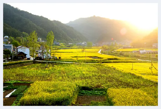 自建房 | 宅基地证就是房产证吗？自建房的宅基地证和房产证有什么区别？ | 自建房