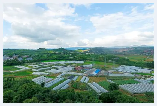 自建房常识 | 水泥砂浆保护层有哪些需要检查的项目？ | 自建房常识