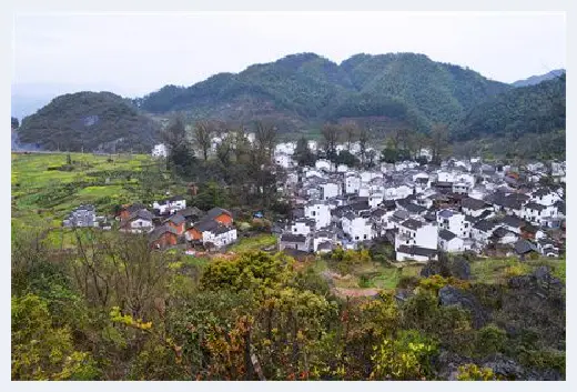 自建房学堂 | 林地建房必须拆除吗？农村建房可以砍古树吗？ | 自建房学堂