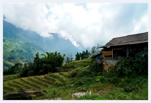 自建房学堂 | 屋后种树好吗？屋后种什么树风水好？ | 自建房学堂