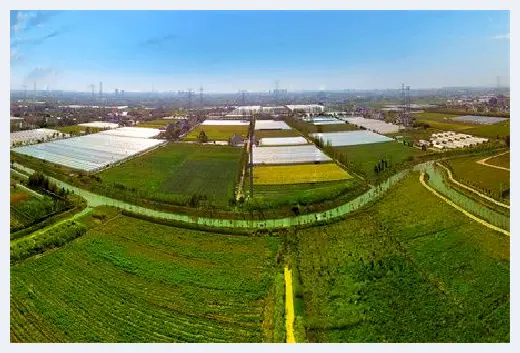 自建房 | 农村买地盖房子需要什么手续？看完如梦初醒 | 自建房