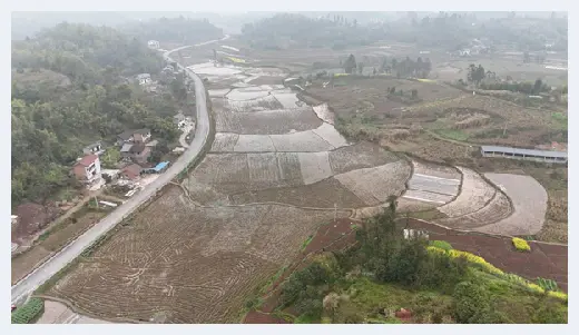 自建房百科 | 重庆农家庭院、果园鱼塘等优质地块出租，品类多样，年限灵活！ | 自建房百科