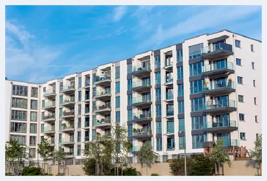 自建房教程 | 硅藻泥和贝壳粉哪个贵？竟然还有这些区别 | 自建房教程