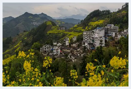 自建房教程 | 松树的风水禁忌有哪些？不看不知道，一看吓一跳 | 自建房教程